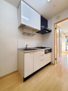 サザンクロス 303号-7