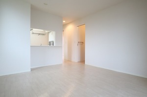 ＷＥＬＳＰＲＩＮＧ　ＭＡＮＳＩＯＮ 203号-3