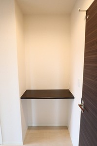 ＷＥＬＳＰＲＩＮＧ　ＭＡＮＳＩＯＮ 203号-12