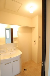 ＷＥＬＳＰＲＩＮＧ　ＭＡＮＳＩＯＮ 203号-13