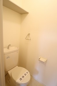 ＷＥＬＳＰＲＩＮＧ　ＭＡＮＳＩＯＮ 203号-15