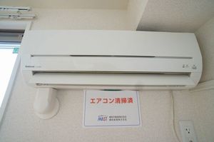 ドリーム 202号-11