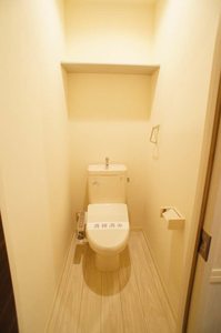 BEREO AOI 303号-11
