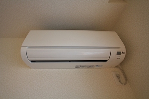 Ｂｌｏｓｓｏｍ　Ｃｏｕｒｔ 305号-6