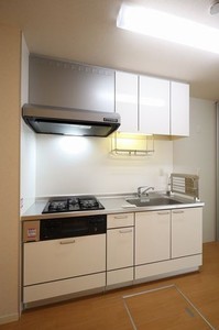 Ｇｒｅｅｎ　Ｔｅｒｒａ 101号-8