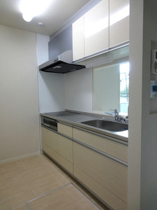 セレッソ　カージュ 301号-8