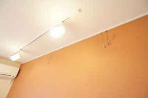 フローラ秋桜 203号-3