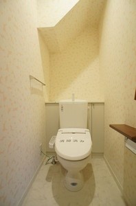 ベリーズ 101号-6