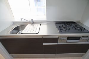 プロテクトパレスB 102号-5