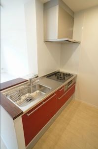 ヴェルドミールⅣ 203号-5