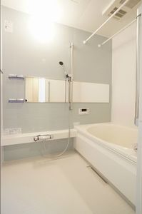 ヴェルドミールⅣ 203号-11