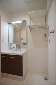 セルディーナ 101号-11