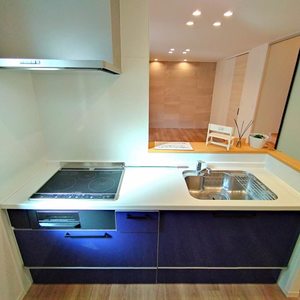 ホワイトペルテ 105号-4