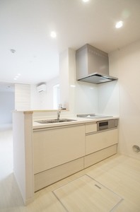 メゾンＺ 102号-4