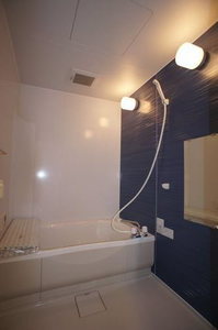 ハイビューティフル A 102号-9