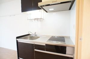 ロゼッタ 201号-9