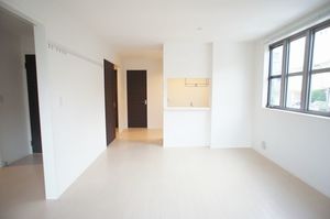 Ｐｌａｔｉｎｕｍ２１ 101号-2