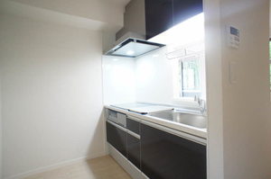 ヒルハウス大倉山東Ⅱ 205号-5