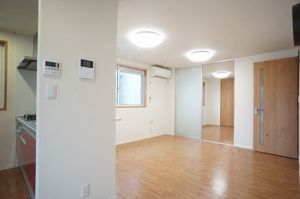 ＰＬＡＴＩＮＵＭ三ッ沢 101号-3