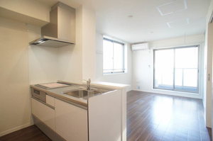 プルメリア 301号-9