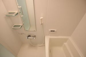 ミヤグルーリャ 201号-9