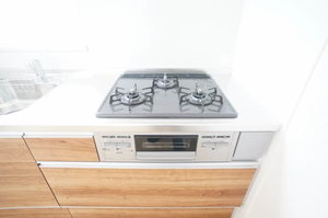 セラメゾン南 201号-5