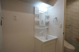 Ｇｒｅｅｎａｇｅ 303号-8