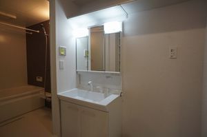 Ｇｒｅｅｎａｇｅ 307号-9