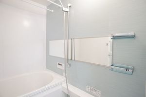 Ｍａ　Ｍａｉｓｏｎ 302号-9