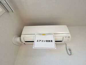 ウェルシーフィールドⅡ三ッ沢 203号-11