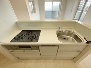 メゾン・ド・リヴェール 301号-8