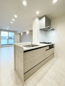 ドッゴミーム 306号-4