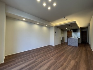 シャーメゾンステージ綱島 101号-3