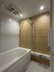 アジュールモア長津田 302号-5