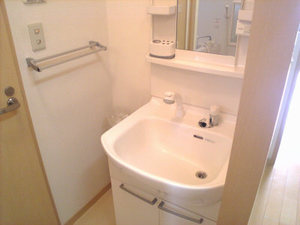 メゾンフォンテーヌ 303号-8