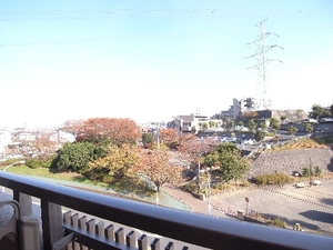 コスモ横浜日限山 507号-11