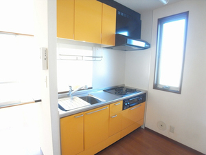 ランドル湘南 203号-3