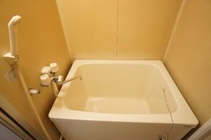 ウェストホーム 101号-10