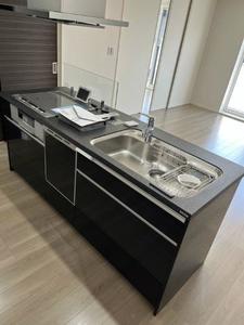 ハルモニアステラ 202号-4