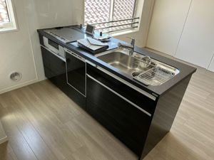 ハルモニアステラ 302号-5