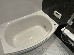 ハルモニアステラ 302号-8