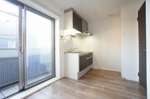 Ｃｏｃｏｎｅｅｌ　Ｈｉｒａｔｓｕｋａ 202号-2