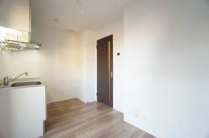 Ｃｏｃｏｎｅｅｌ　Ｈｉｒａｔｓｕｋａ 202号-3