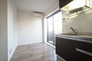 Ｃｏｃｏｎｅｅｌ　Ｈｉｒａｔｓｕｋａ 202号-5