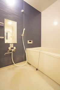 Ｃｏｃｏｎｅｅｌ　Ｈｉｒａｔｓｕｋａ 202号-8