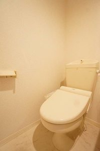 Ｃｏｃｏｎｅｅｌ　Ｈｉｒａｔｓｕｋａ 202号-9