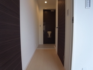 Ｃｏｃｏｎｅｅｌ　Ｈｉｒａｔｓｕｋａ 302号-7