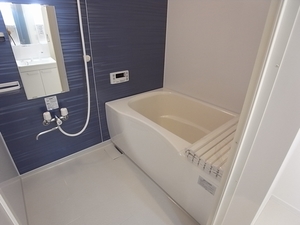 Ｃｏｃｏｎｅｅｌ　Ｈｉｒａｔｓｕｋａ 302号-8