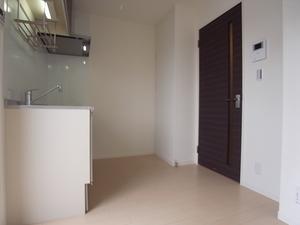 Ｃｏｃｏｎｅｅｌ　Ｈｉｒａｔｓｕｋａ 302号-10