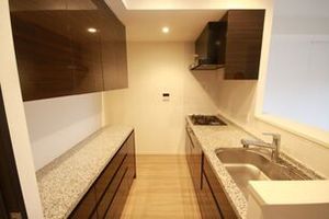 グランドメゾン元住吉ノーステラス 213号-3